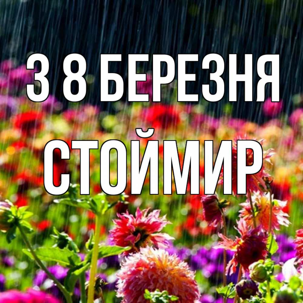 Открытка на каждый день з підписом, Стоймир З 8 БЕРЕЗНЯ цветы под дождиком к международному женскому дню Прикольна листівка з побажанням онлайн скачати безкоштовно 
