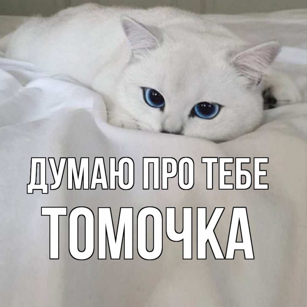 Открытка на каждый день з підписом, Томочка Думаю про тебе я очень по тебе скучаю и тоскую Прикольна листівка з побажанням онлайн скачати безкоштовно 