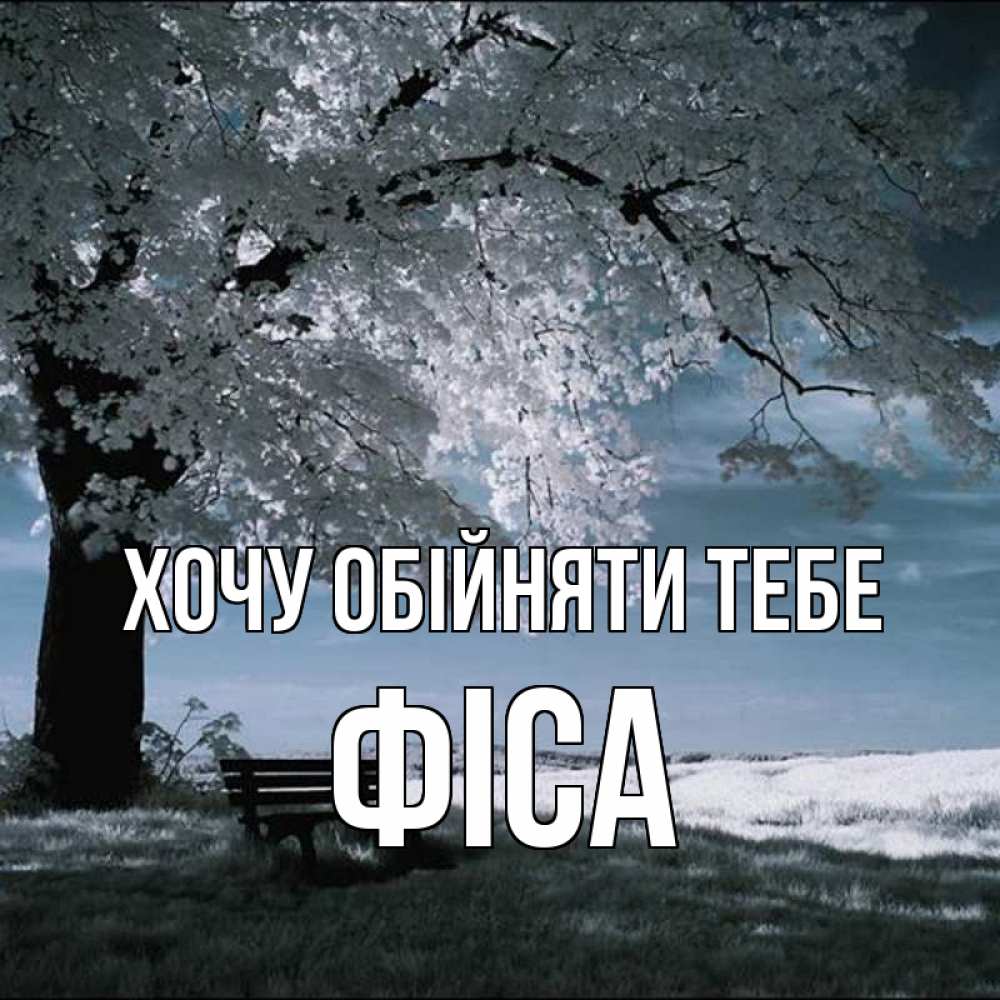 Открытка на каждый день з підписом, Фіса Хочу обійняти тебе дерево Прикольна листівка з побажанням онлайн скачати безкоштовно 