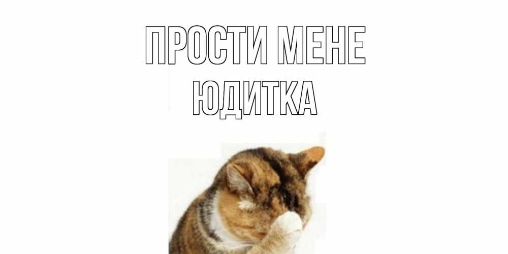 Открытка на каждый день з підписом, Юдитка Прости мене кот Прикольна листівка з побажанням онлайн скачати безкоштовно 