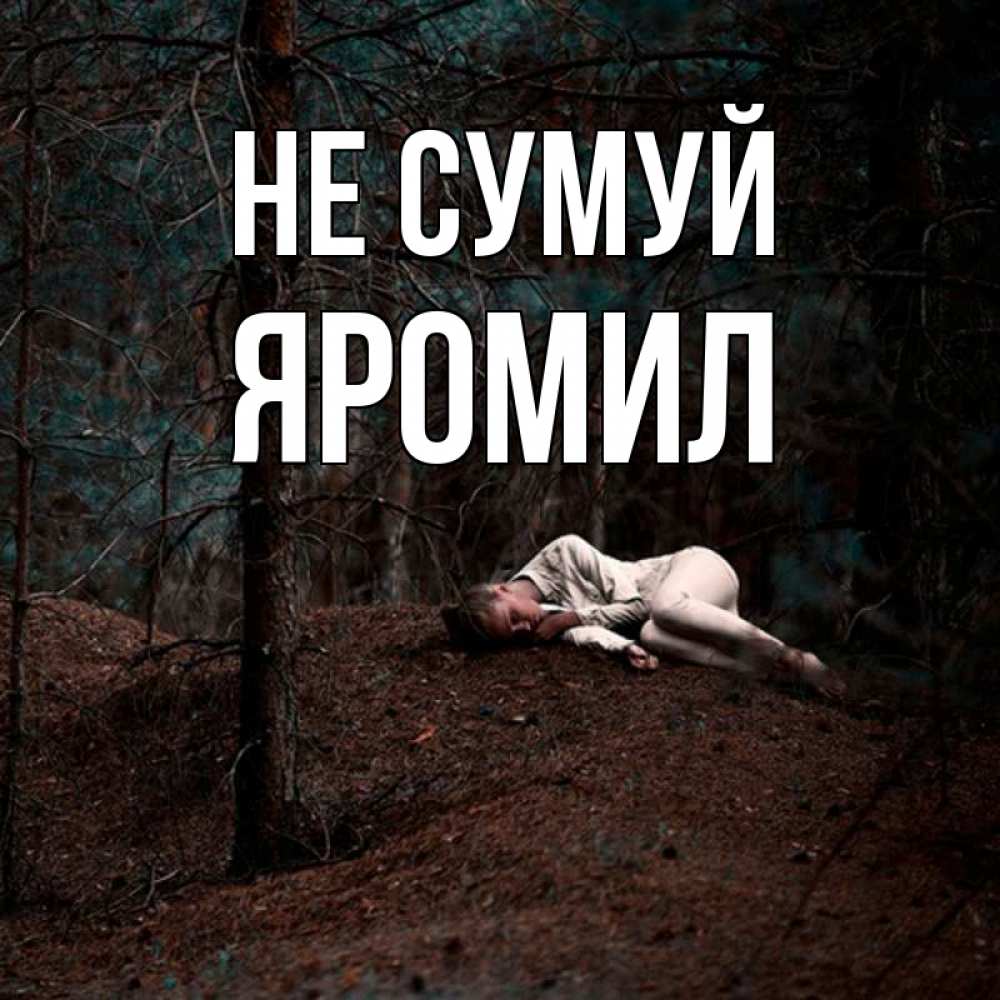 Открытка на каждый день з підписом, Яромил Не сумуй лес Прикольна листівка з побажанням онлайн скачати безкоштовно 