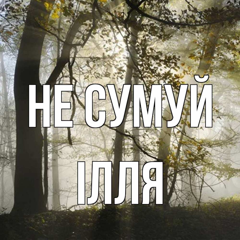 Открытка на каждый день з підписом, Ілля Не сумуй лес и свет Прикольна листівка з побажанням онлайн скачати безкоштовно 