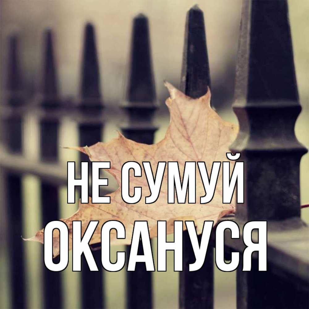 Открытка на каждый день з підписом, Оксануся Не сумуй лист клена Прикольна листівка з побажанням онлайн скачати безкоштовно 