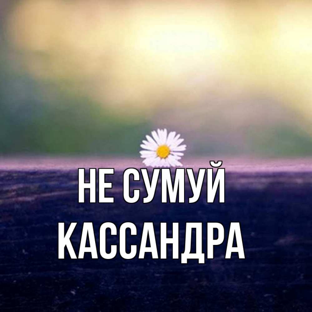 Открытка на каждый день з підписом, Кассандра Не сумуй красота Прикольна листівка з побажанням онлайн скачати безкоштовно 