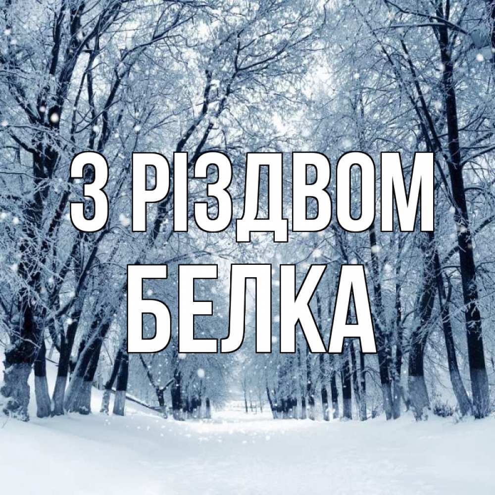 Открытка на каждый день з підписом, Белка З Різдвом снег, лес, парк Прикольна листівка з побажанням онлайн скачати безкоштовно 