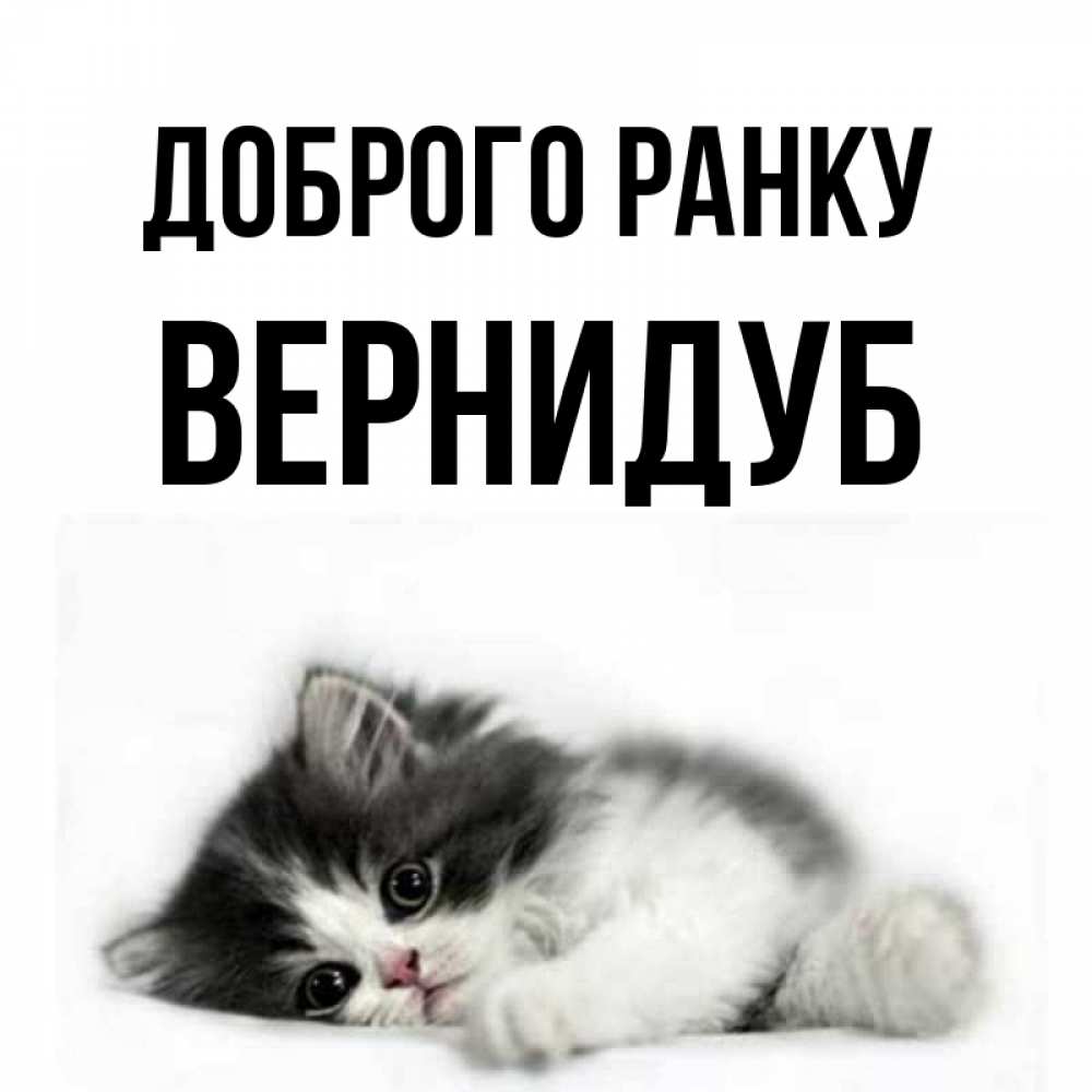 Открытка на каждый день з підписом, Вернидуб Доброго ранку кот лапки Прикольна листівка з побажанням онлайн скачати безкоштовно 