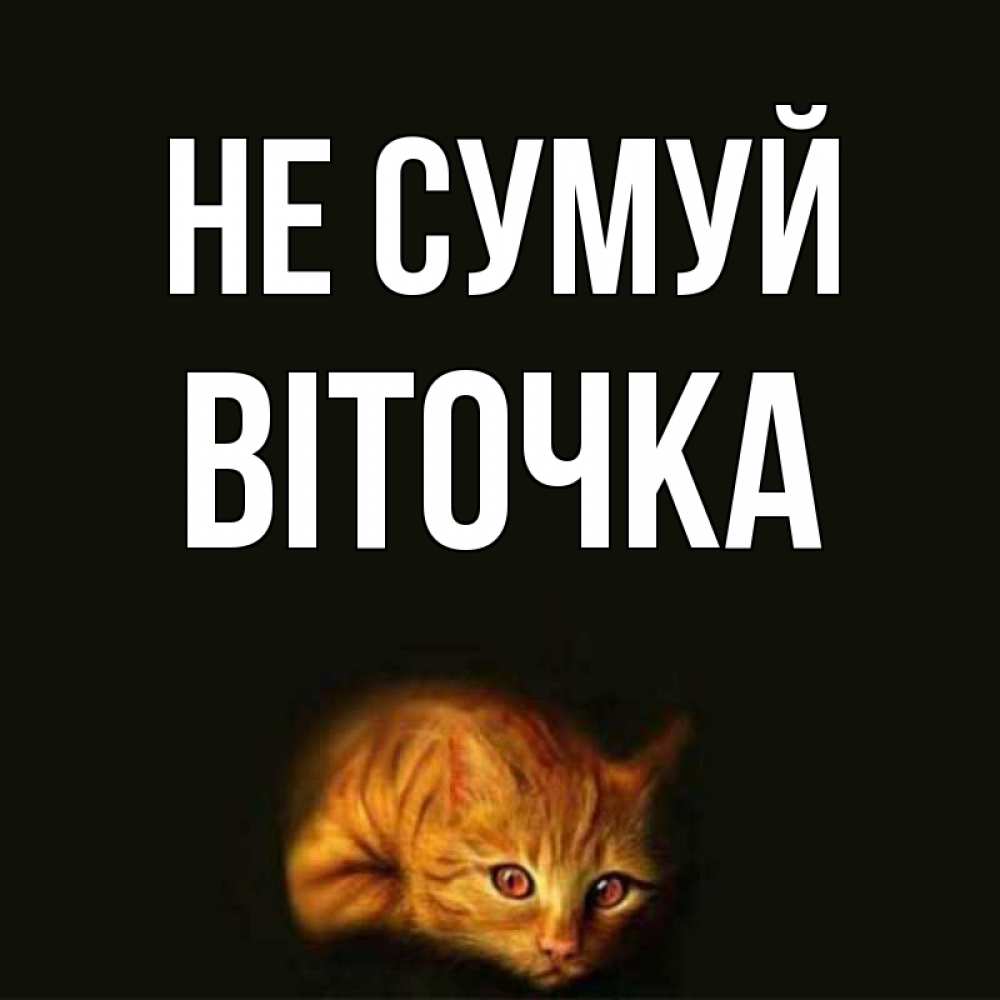 Открытка на каждый день з підписом, Віточка Не сумуй лежащий кот в темноте Прикольна листівка з побажанням онлайн скачати безкоштовно 
