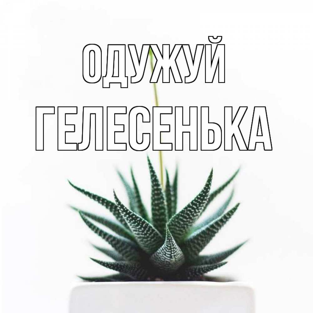 Открытка на каждый день з підписом, Гелесенька Одужуй короче это непонятная колючка Прикольна листівка з побажанням онлайн скачати безкоштовно 