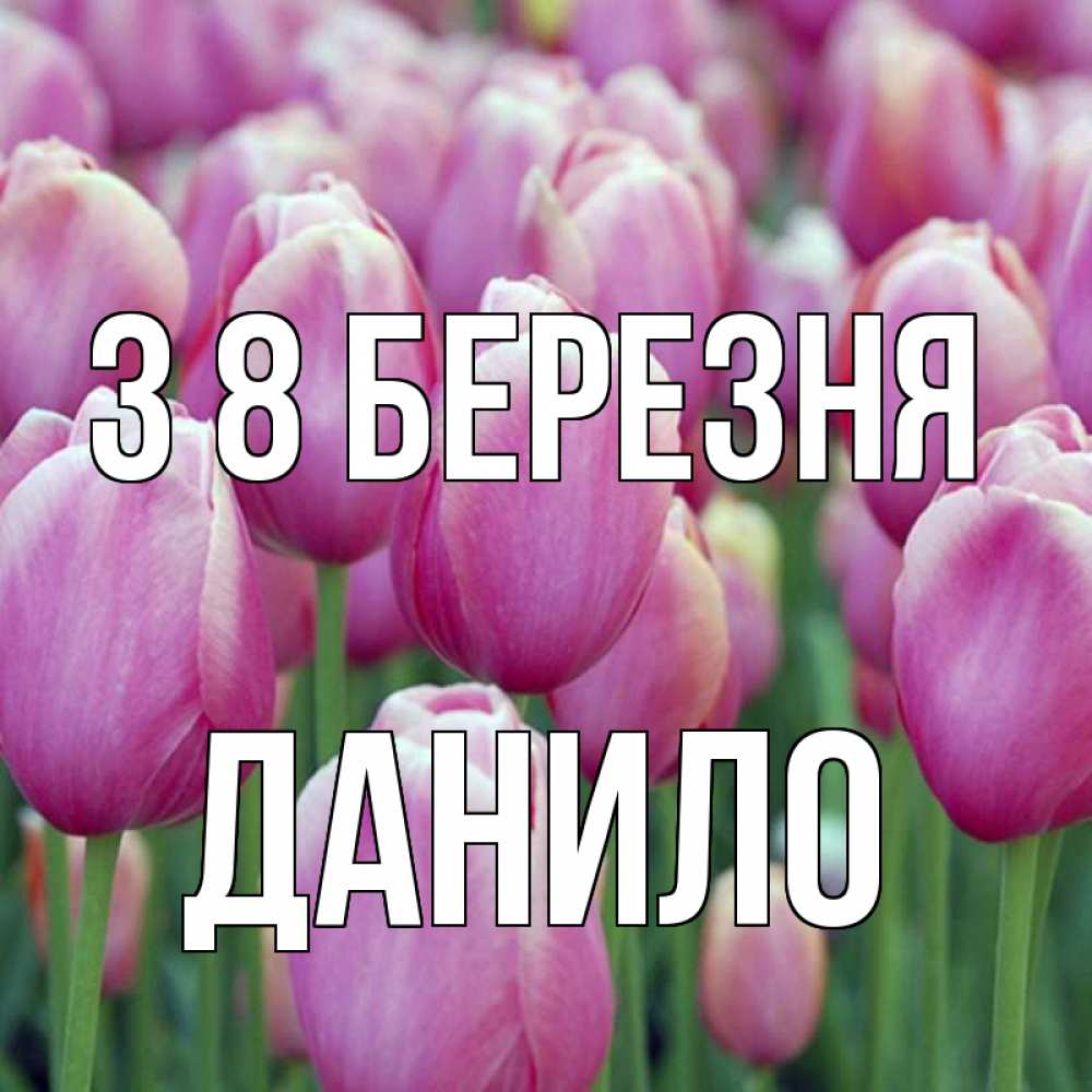 Открытка на каждый день з підписом, Данило З 8 БЕРЕЗНЯ на международный женский день 3 Прикольна листівка з побажанням онлайн скачати безкоштовно 