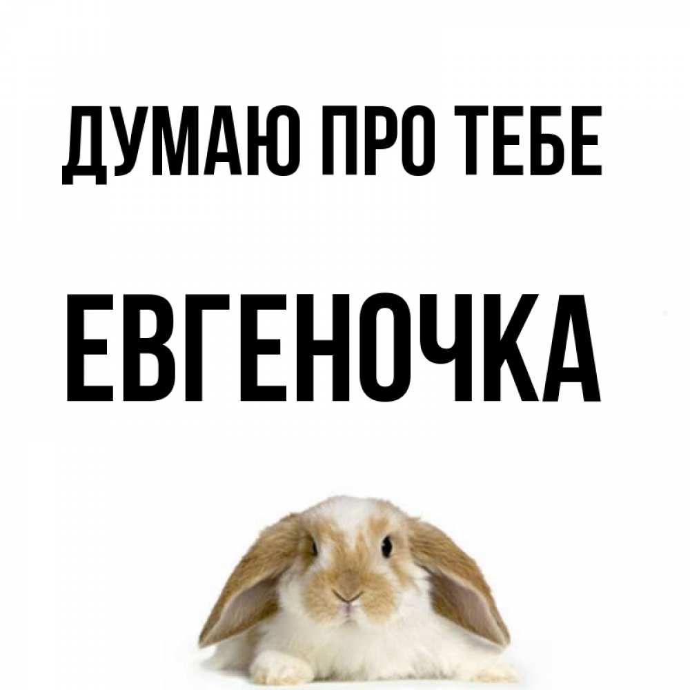 Открытка на каждый день з підписом, Евгеночка Думаю про тебе подписать своими руками онлайн Прикольна листівка з побажанням онлайн скачати безкоштовно 