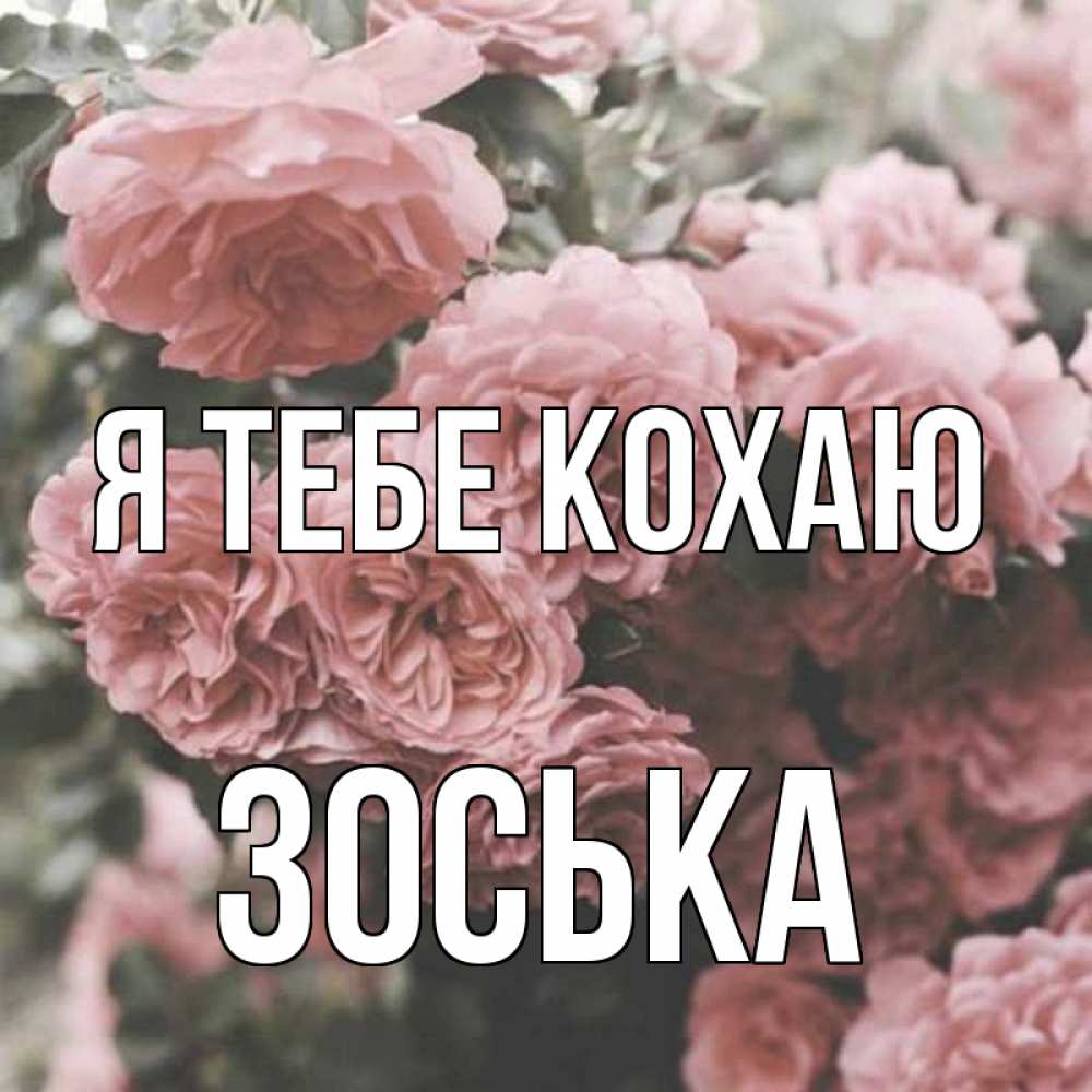 Открытка на каждый день з підписом, Зоська Я тебе кохаю розы 3 Прикольна листівка з побажанням онлайн скачати безкоштовно 