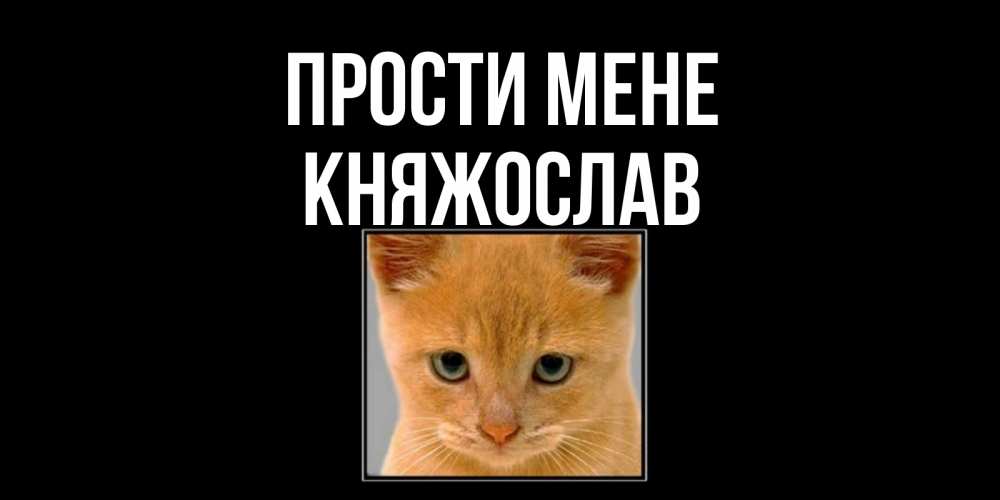 Открытка на каждый день з підписом, Княжослав Прости мене рыжий грустный кот просит прощения Прикольна листівка з побажанням онлайн скачати безкоштовно 