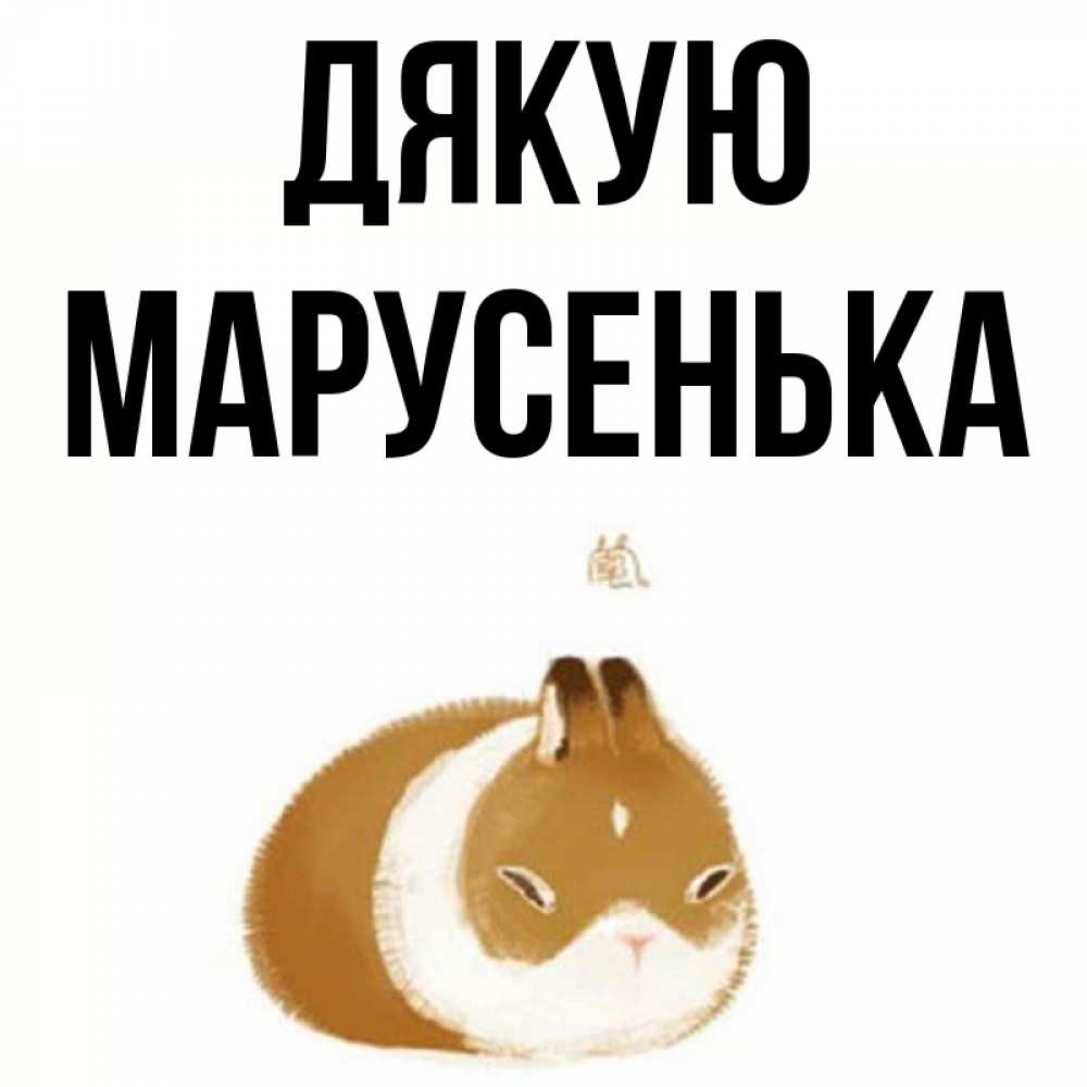 Открытка на каждый день з підписом, Марусенька Дякую коричнево белый домашний питомец Прикольна листівка з побажанням онлайн скачати безкоштовно 