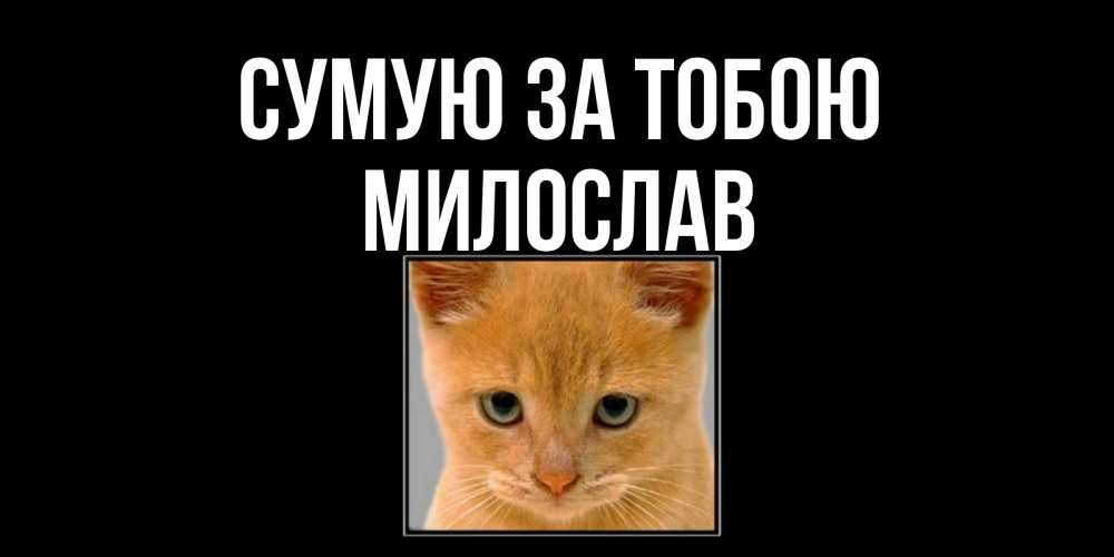Открытка на каждый день з підписом, Милослав Сумую за тобою открытки рыжий котенок скучает по тебе Прикольна листівка з побажанням онлайн скачати безкоштовно 