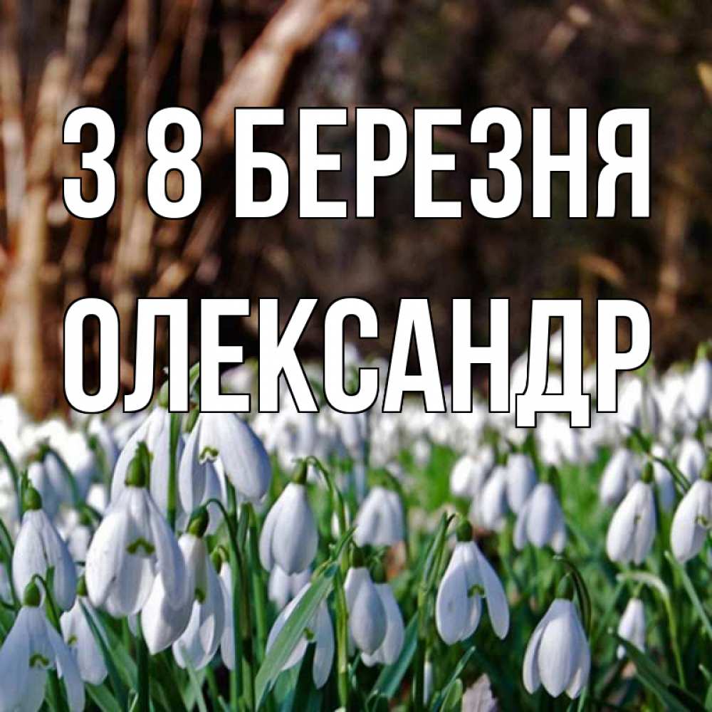 Открытка на каждый день з підписом, Олександр З 8 БЕРЕЗНЯ с подснежниками 1 Прикольна листівка з побажанням онлайн скачати безкоштовно 