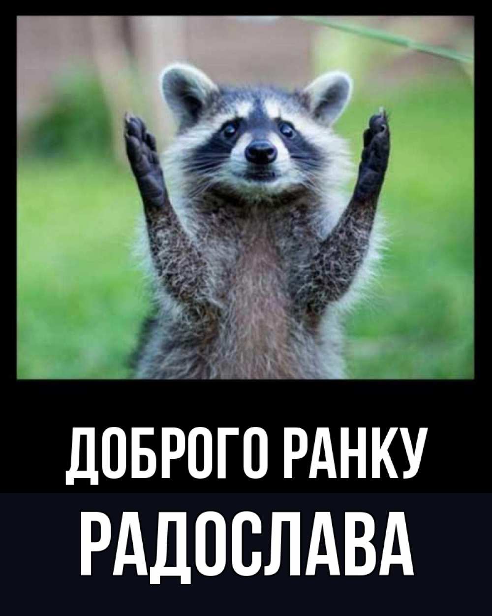 Открытка на каждый день з підписом, Радослава Доброго ранку хорошее настроение утречком Прикольна листівка з побажанням онлайн скачати безкоштовно 