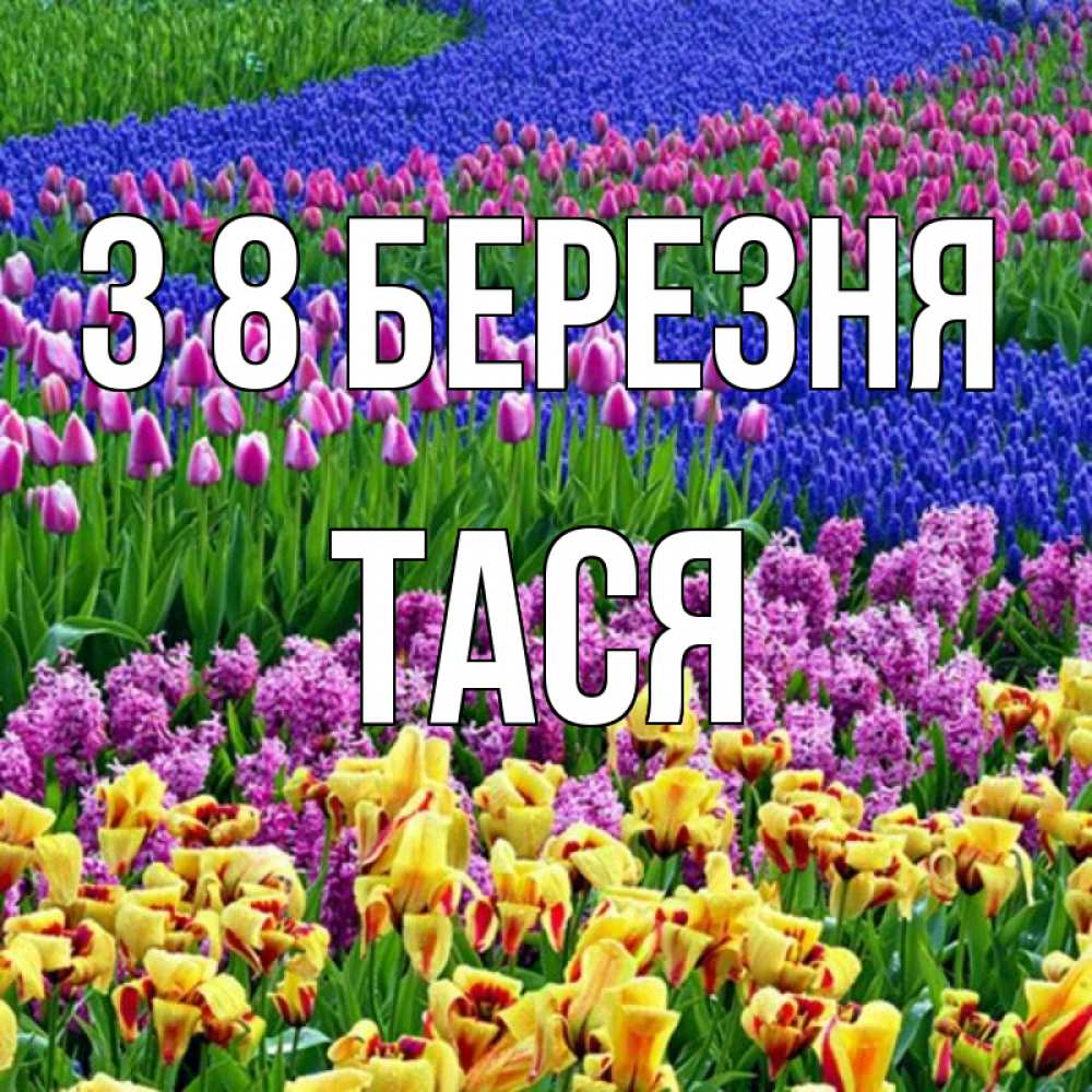 Открытка на каждый день з підписом, Тася З 8 БЕРЕЗНЯ цветы Прикольна листівка з побажанням онлайн скачати безкоштовно 