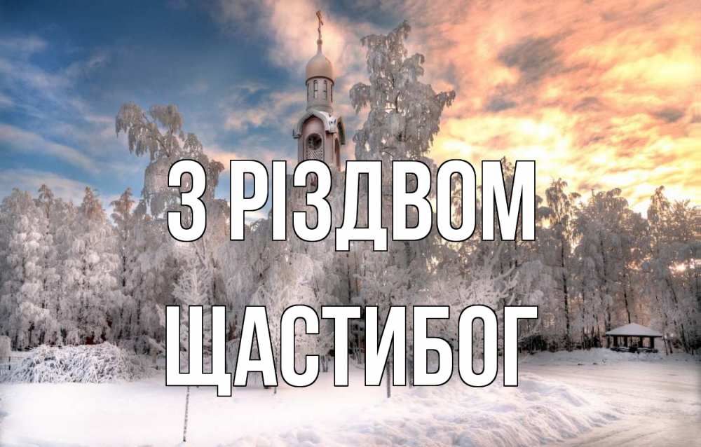 Открытка на каждый день з підписом, Щастибог З Різдвом лес, зима 2 Прикольна листівка з побажанням онлайн скачати безкоштовно 