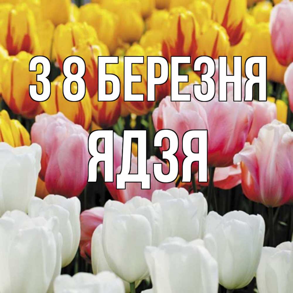 Открытка на каждый день з підписом, Ядзя З 8 БЕРЕЗНЯ разноцветные цветы Прикольна листівка з побажанням онлайн скачати безкоштовно 