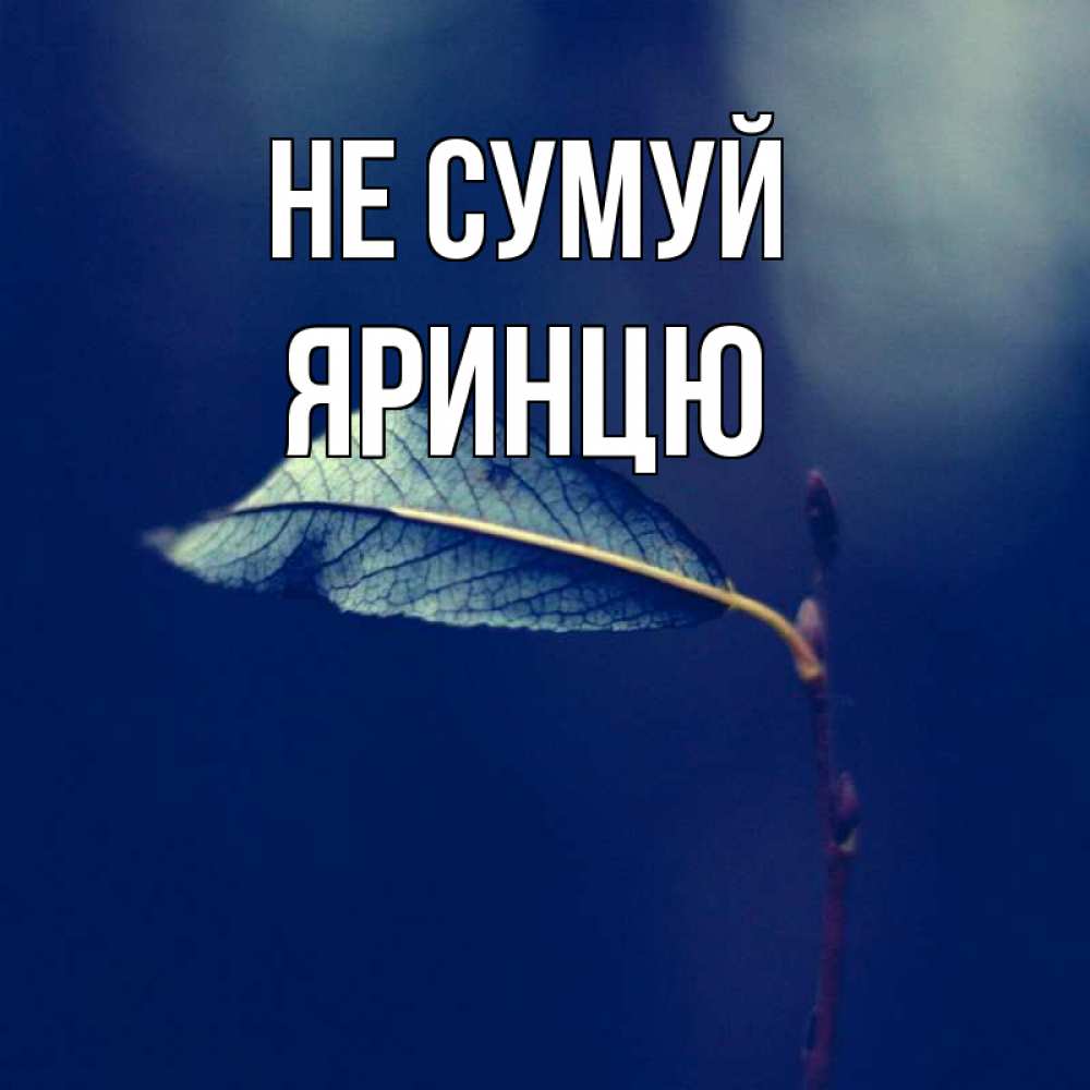 Открытка на каждый день з підписом, Яринцю Не сумуй растение Прикольна листівка з побажанням онлайн скачати безкоштовно 