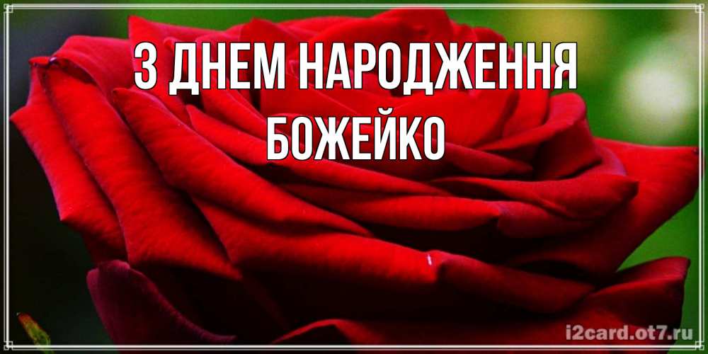 Открытка на каждый день з підписом, Божейко З Днем народження розочка очень красивая Прикольна листівка з побажанням онлайн скачати безкоштовно 