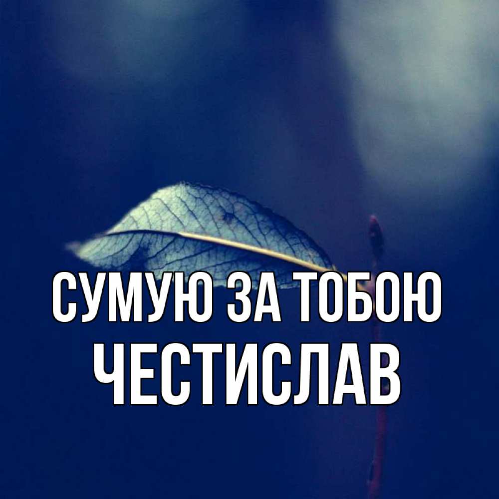 Открытка на каждый день з підписом, Честислав Сумую за тобою одна ветка 1 Прикольна листівка з побажанням онлайн скачати безкоштовно 