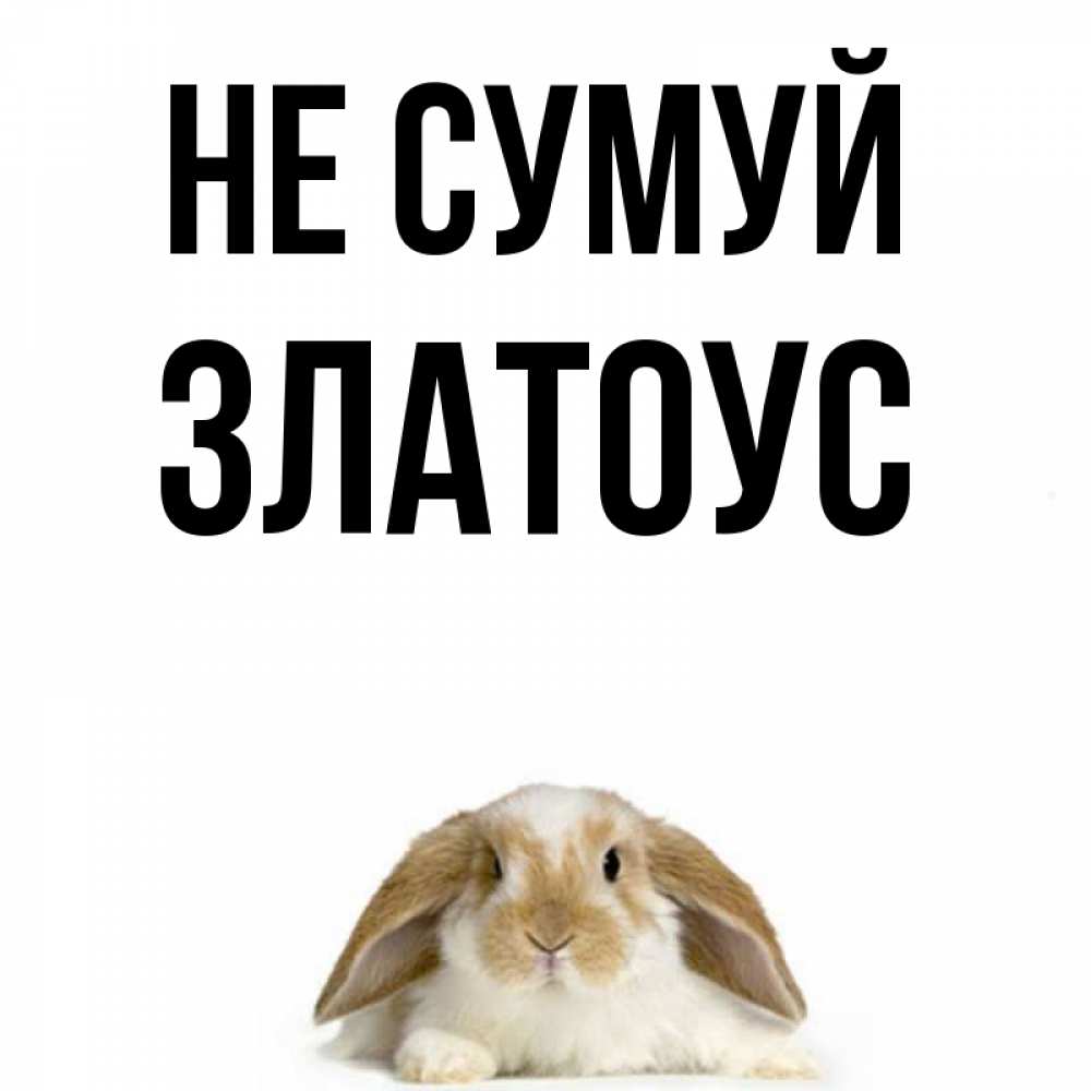 Открытка на каждый день з підписом, Златоус Не сумуй коричнево белый заяц с большими ушками Прикольна листівка з побажанням онлайн скачати безкоштовно 