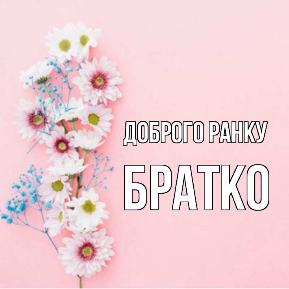 Открытка на каждый день з підписом, Братко Доброго ранку цветы с подписью Прикольна листівка з побажанням онлайн скачати безкоштовно 