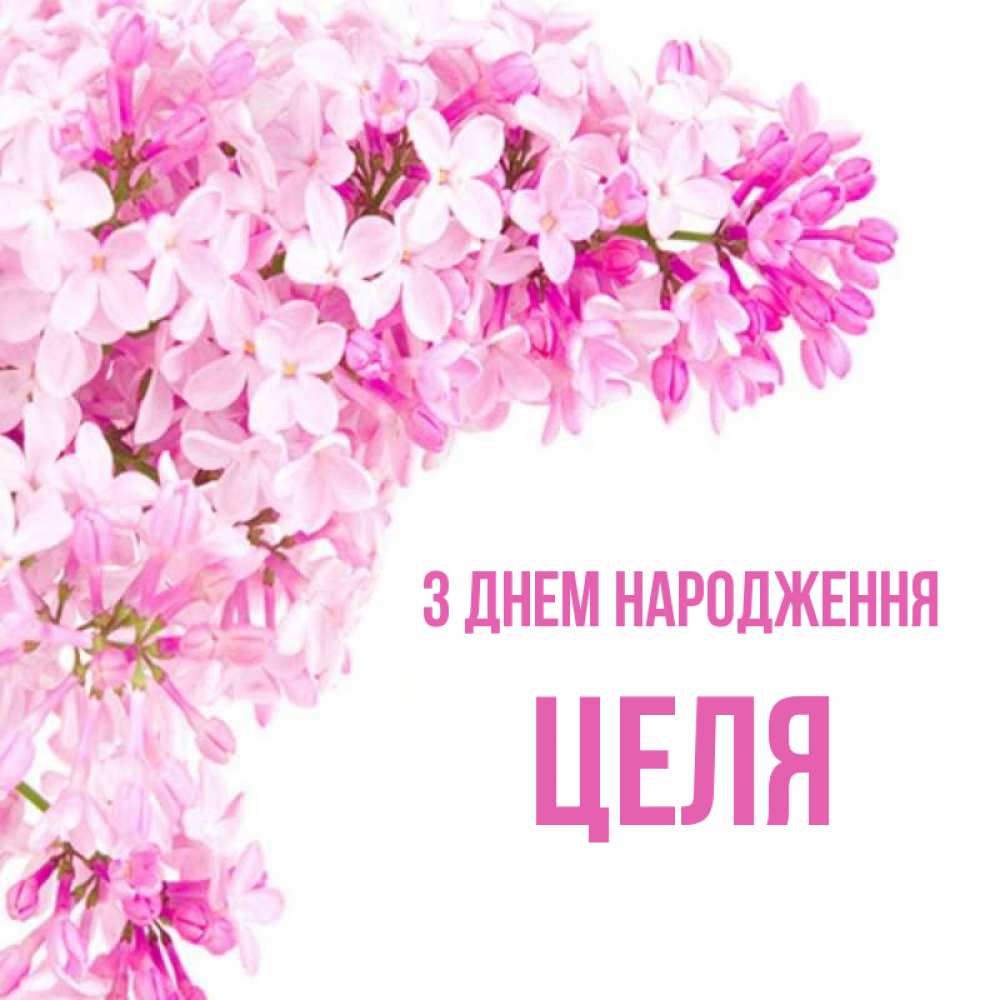 Открытка на каждый день з підписом, Целя З Днем народження Сирень на белом фоне Прикольна листівка з побажанням онлайн скачати безкоштовно 