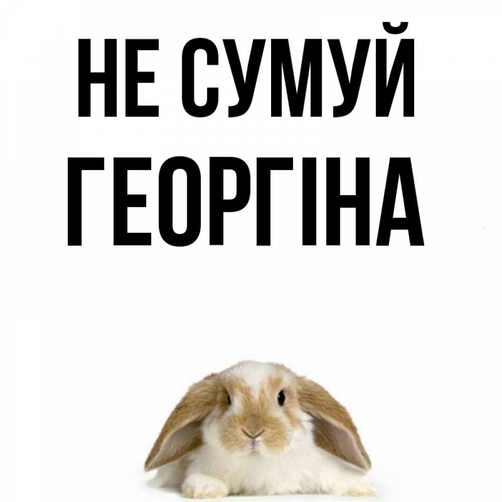 Открытка на каждый день з підписом, Георгіна Не сумуй коричнево белый заяц с большими ушками Прикольна листівка з побажанням онлайн скачати безкоштовно 