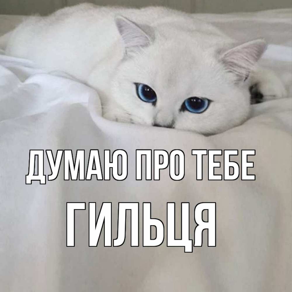 Открытка на каждый день з підписом, Гильця Думаю про тебе я очень по тебе скучаю и тоскую Прикольна листівка з побажанням онлайн скачати безкоштовно 