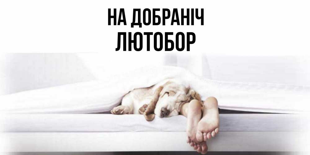 Открытка на каждый день з підписом, Лютобор На добраніч кровать с собакой пожелание сладких снов и спокойной ночи Прикольна листівка з побажанням онлайн скачати безкоштовно 