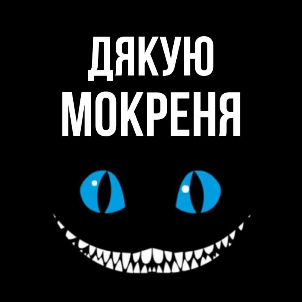 Открытка на каждый день з підписом, Мокреня Дякую благодарю от чеширика Прикольна листівка з побажанням онлайн скачати безкоштовно 