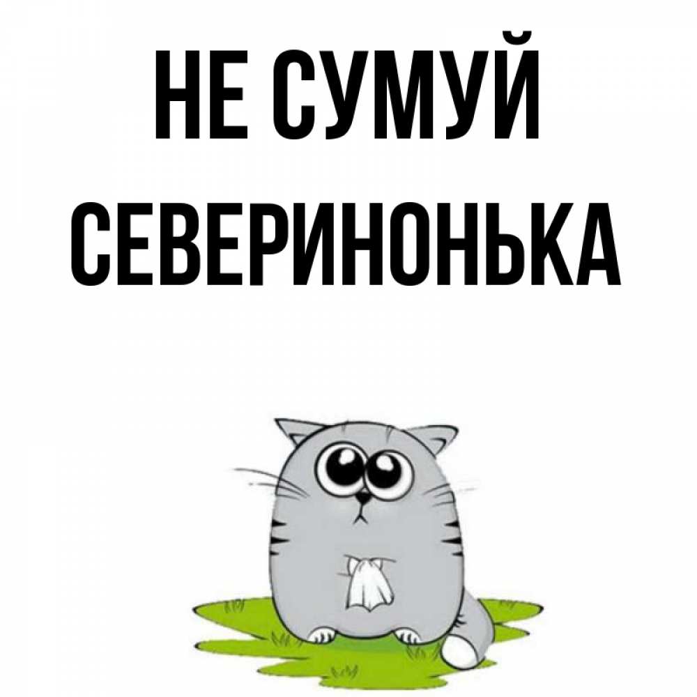 Открытка на каждый день з підписом, Северинонька Не сумуй грустный котяра Прикольна листівка з побажанням онлайн скачати безкоштовно 