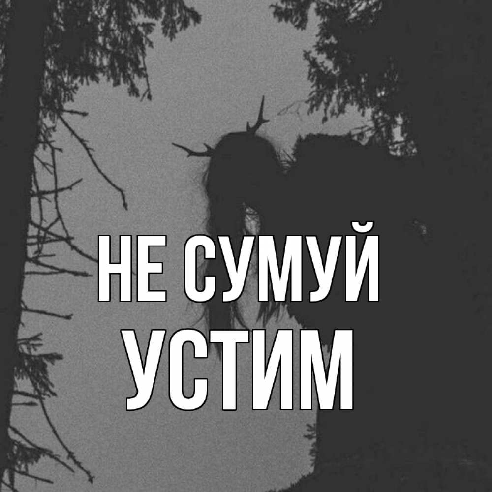 Открытка на каждый день з підписом, Устим Не сумуй чудище лесное Прикольна листівка з побажанням онлайн скачати безкоштовно 