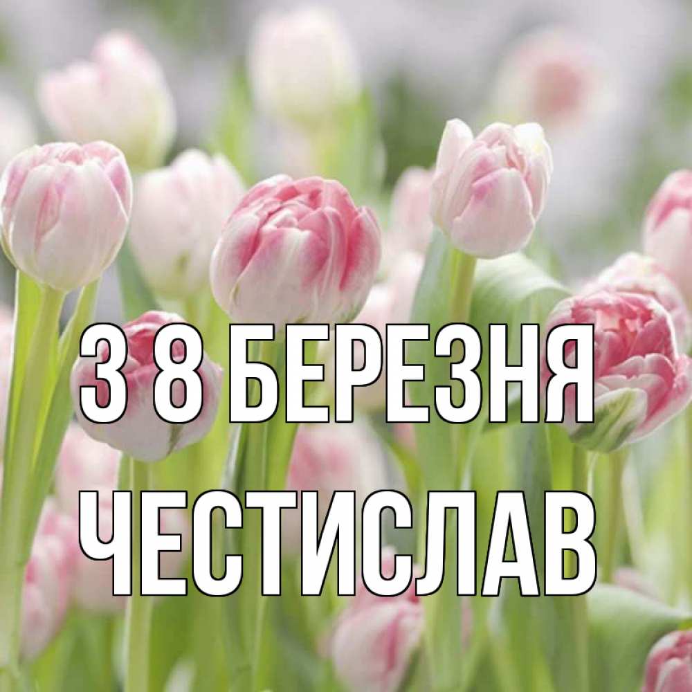 Открытка на каждый день з підписом, Честислав З 8 БЕРЕЗНЯ цветы Прикольна листівка з побажанням онлайн скачати безкоштовно 