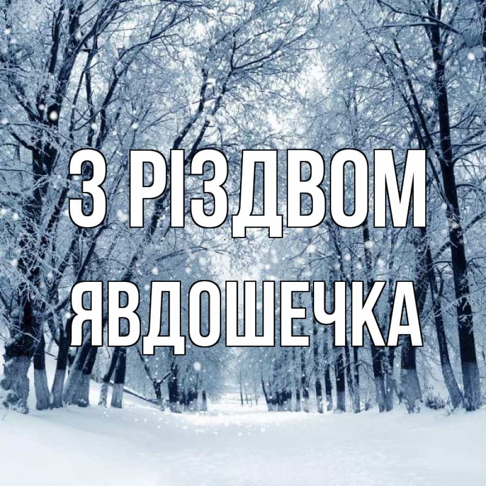 Открытка на каждый день з підписом, Явдошечка З Різдвом снег, лес, парк Прикольна листівка з побажанням онлайн скачати безкоштовно 