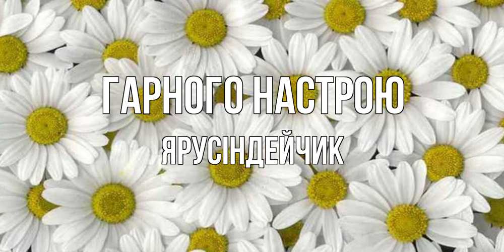 Открытка на каждый день з підписом, Ярусіндейчик Гарного настрою поляна ромашек Прикольна листівка з побажанням онлайн скачати безкоштовно 