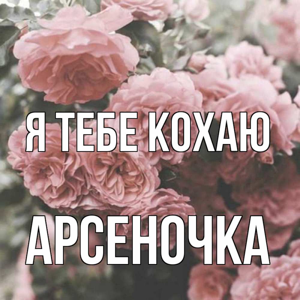 Открытка на каждый день з підписом, Арсеночка Я тебе кохаю розы 3 Прикольна листівка з побажанням онлайн скачати безкоштовно 