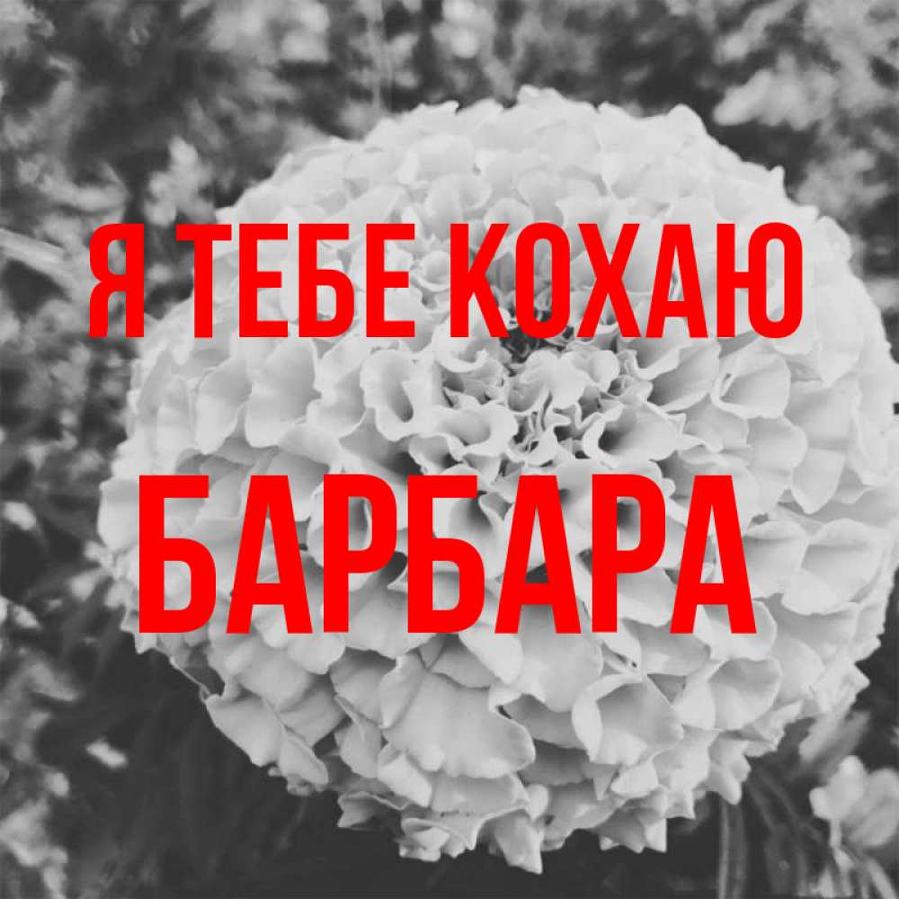 Открытка на каждый день з підписом, Барбара Я тебе кохаю подпись Прикольна листівка з побажанням онлайн скачати безкоштовно 