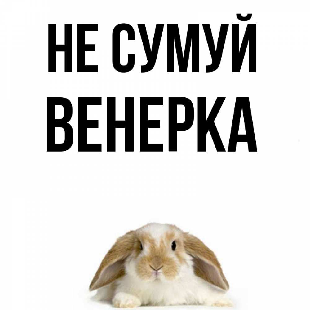 Открытка на каждый день з підписом, Венерка Не сумуй коричнево белый заяц с большими ушками Прикольна листівка з побажанням онлайн скачати безкоштовно 