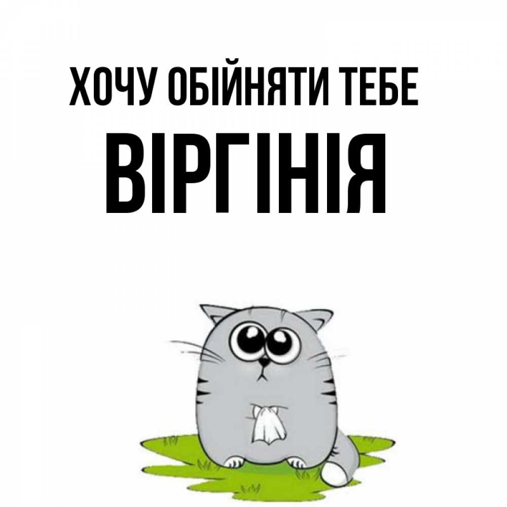Открытка на каждый день з підписом, Віргінія Хочу обійняти тебе котик теребит платочек сидя на травке Прикольна листівка з побажанням онлайн скачати безкоштовно 