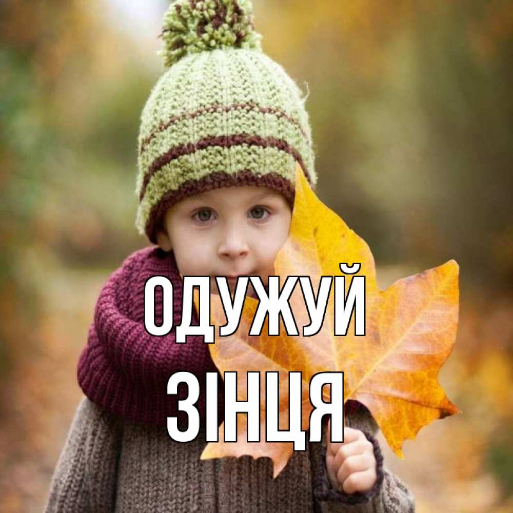 Открытка на каждый день з підписом, Зінця Одужуй дышим свежим воздухом Прикольна листівка з побажанням онлайн скачати безкоштовно 