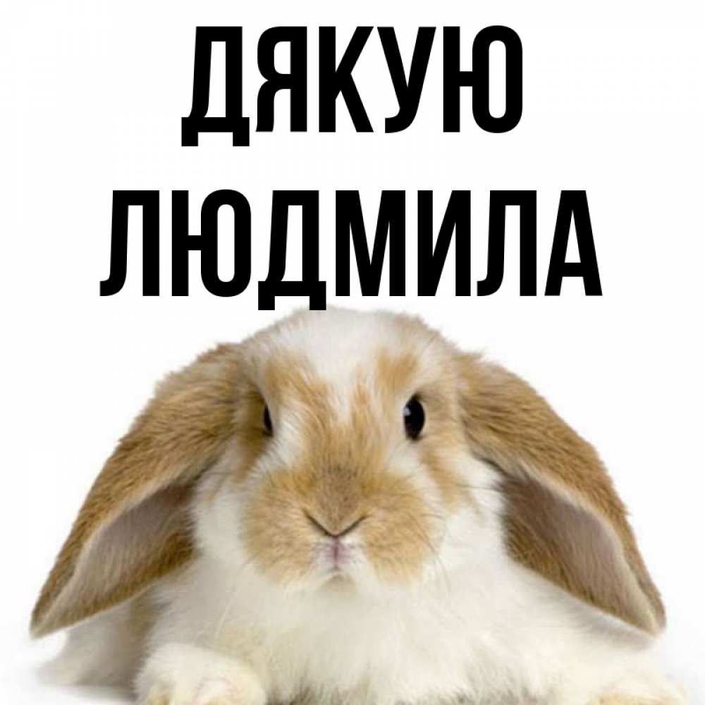 Открытка на каждый день з підписом, Людмила Дякую коричнево белый заяц Прикольна листівка з побажанням онлайн скачати безкоштовно 