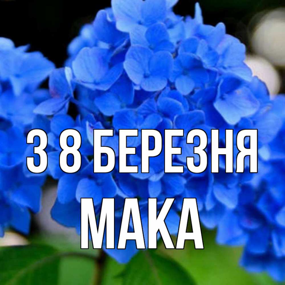 Открытка на каждый день з підписом, Мака З 8 БЕРЕЗНЯ синие цветы Прикольна листівка з побажанням онлайн скачати безкоштовно 