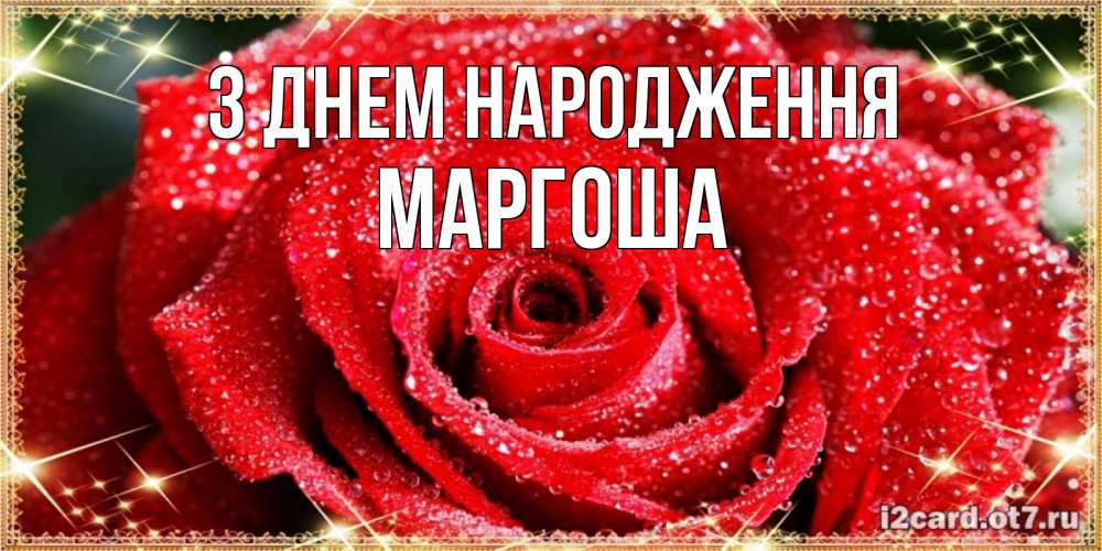 Открытка на каждый день з підписом, Маргоша З Днем народження роса и роза. открытка с красивой розой Прикольна листівка з побажанням онлайн скачати безкоштовно 