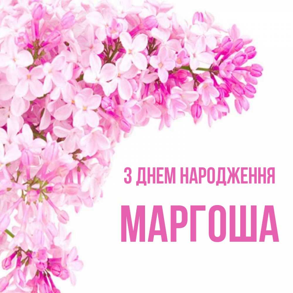 Открытка на каждый день з підписом, Маргоша З Днем народження Сирень на белом фоне Прикольна листівка з побажанням онлайн скачати безкоштовно 