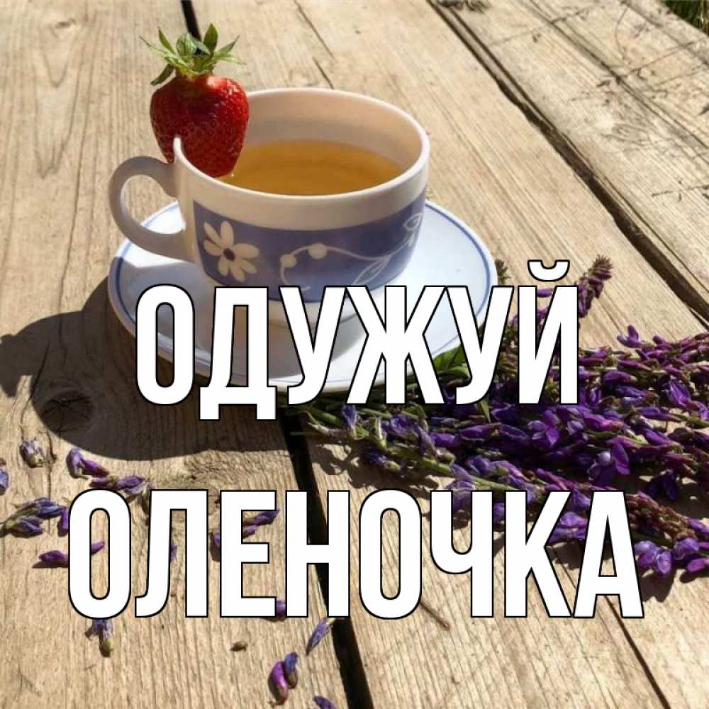 Открытка на каждый день з підписом, Оленочка Одужуй чай Прикольна листівка з побажанням онлайн скачати безкоштовно 