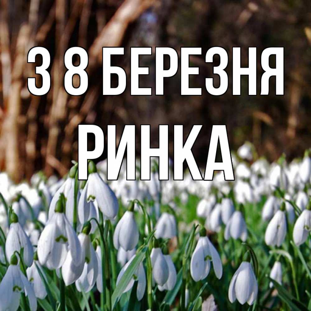 Открытка на каждый день з підписом, Ринка З 8 БЕРЕЗНЯ с подснежниками 1 Прикольна листівка з побажанням онлайн скачати безкоштовно 