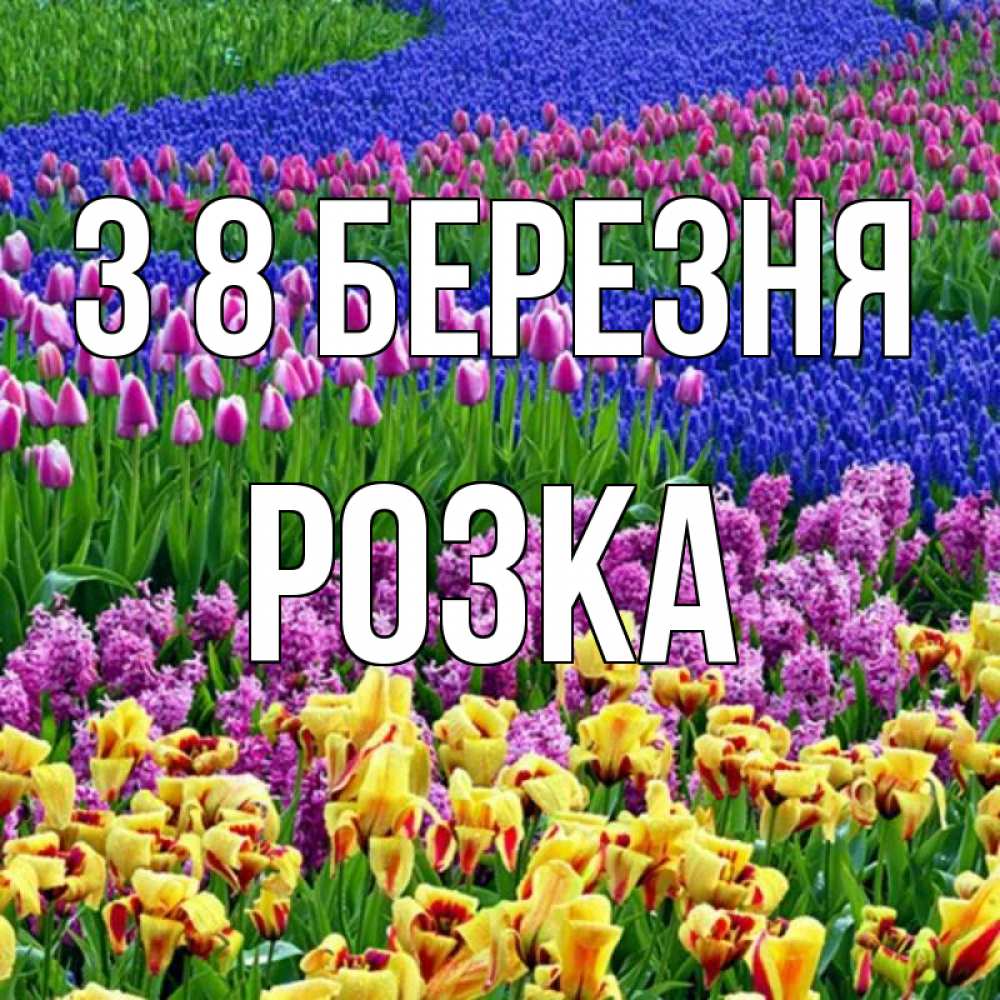 Открытка на каждый день з підписом, Розка З 8 БЕРЕЗНЯ цветы Прикольна листівка з побажанням онлайн скачати безкоштовно 